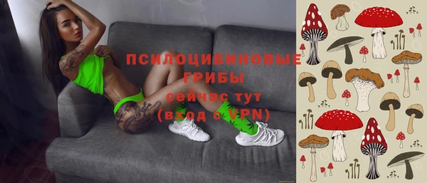МДПВ Касимов