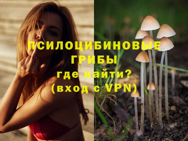 МДПВ Касимов