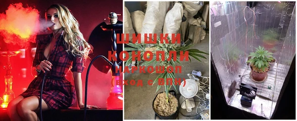 МДПВ Касимов