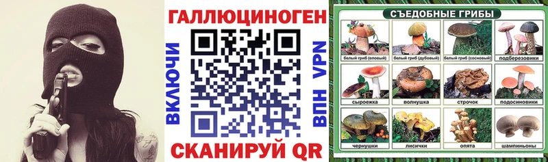 закладки  Олонец  Галлюциногенные грибы прущие грибы 
